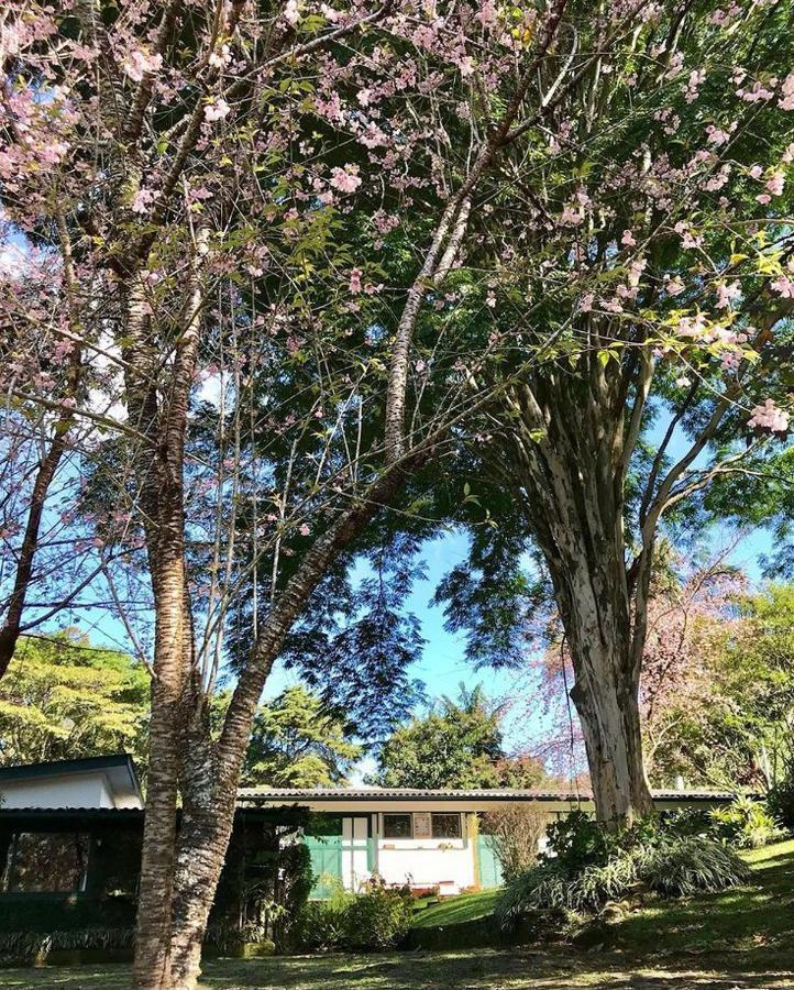 Pinheiros Do Rocio Hotel Araras Petropolis Exterior foto